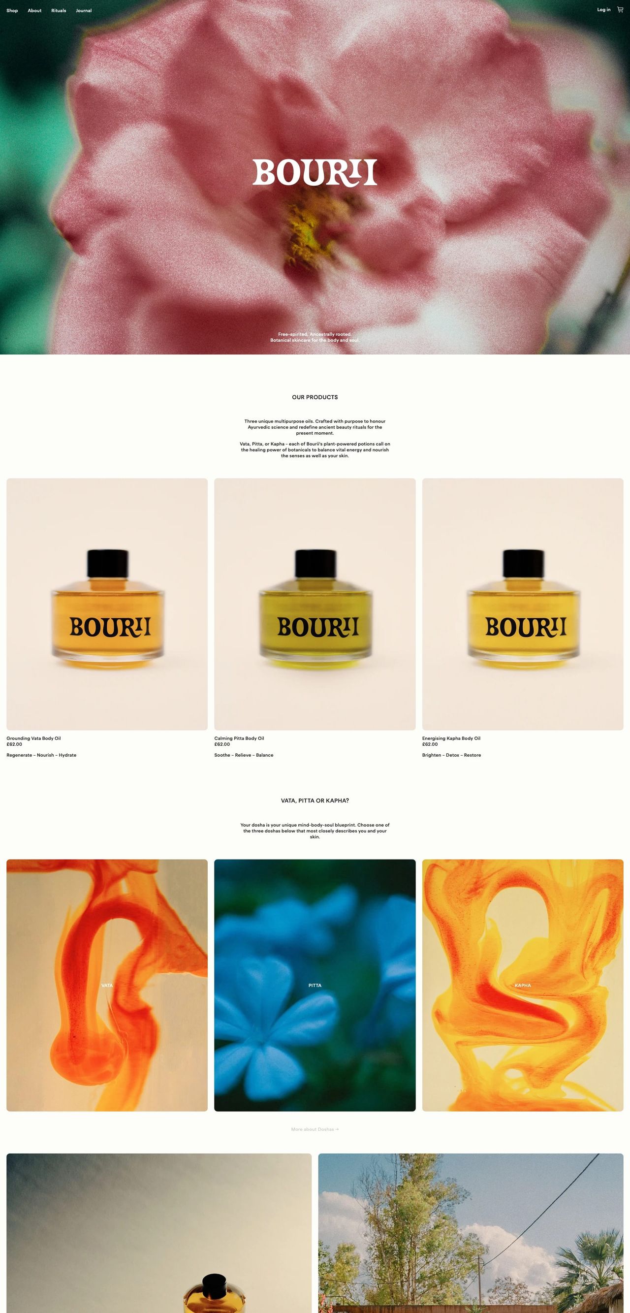 Bourii