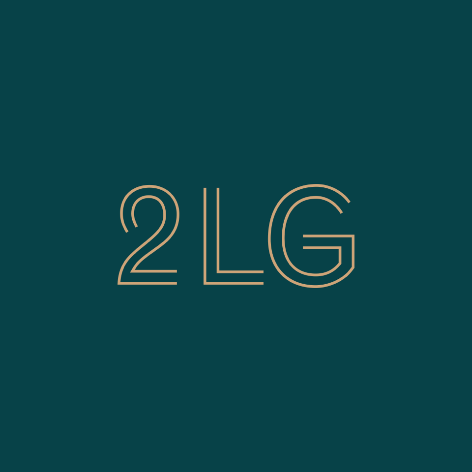 2LG Studio