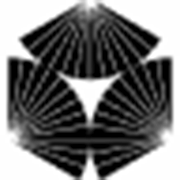 Analogue Foundation