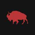Bison Studio