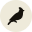 Black Jays