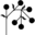 Companion-Platform