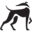 Courser
