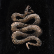Hierophant