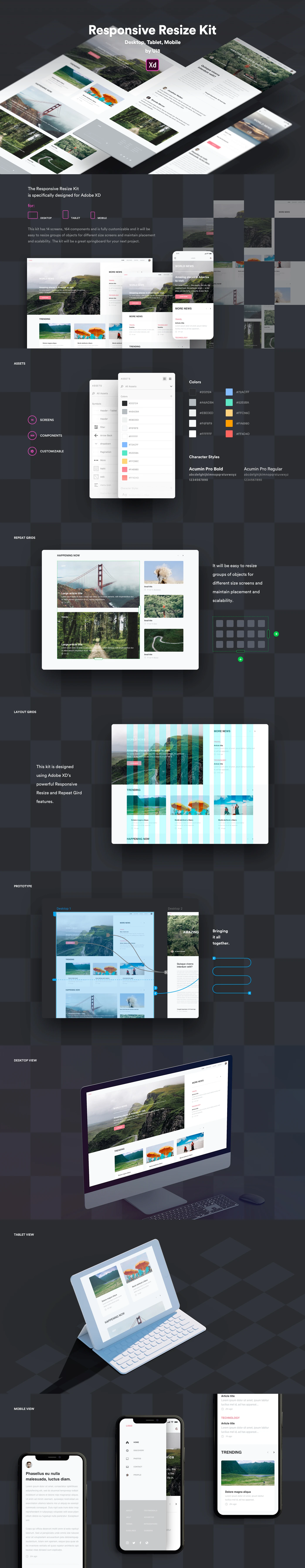 Responsive Resize UI Kit for Adobe XD - 1