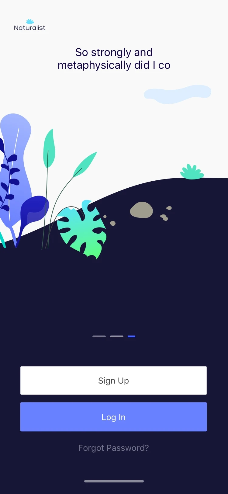 Naturalist Onboarding Freebie - 4