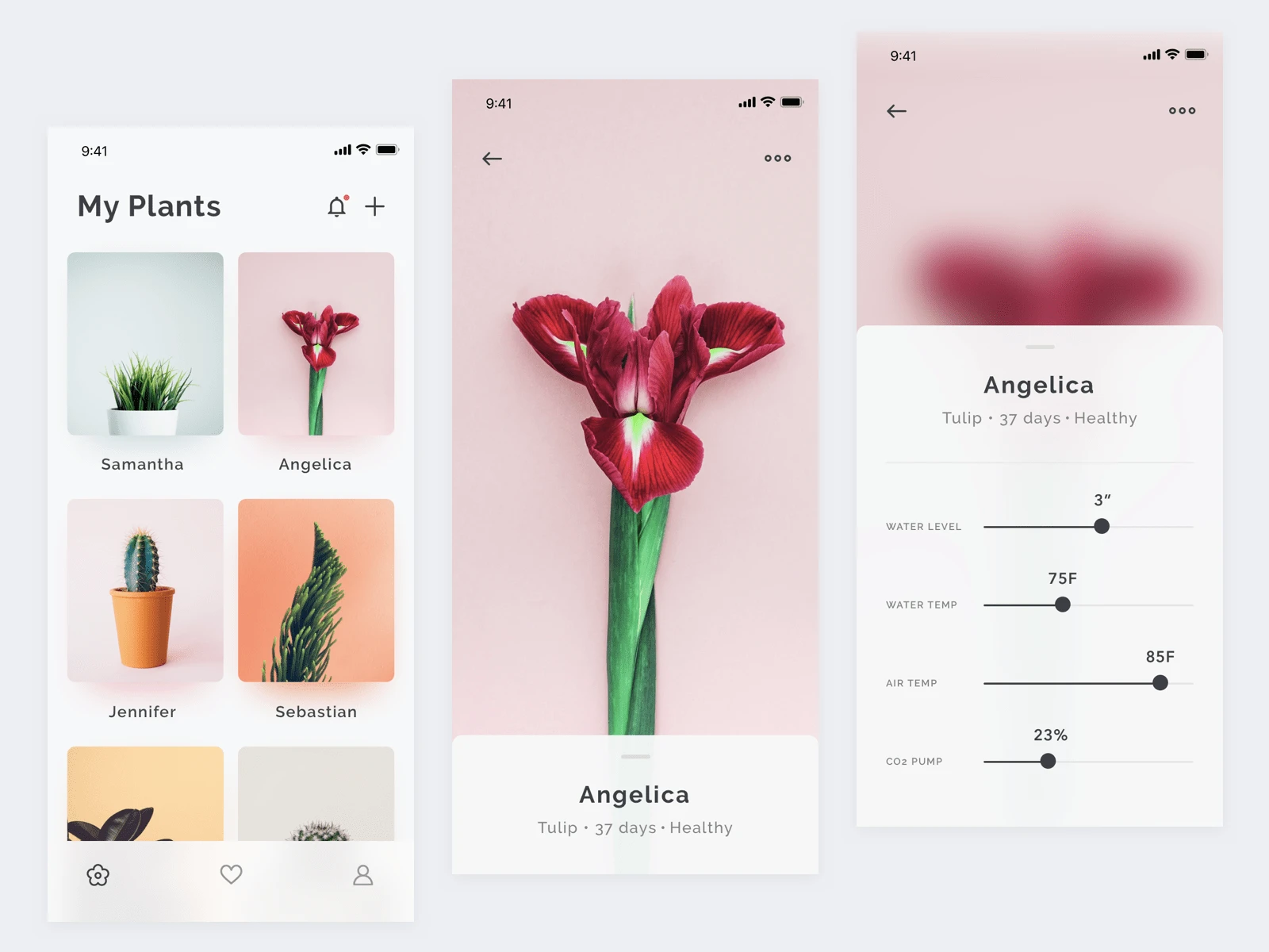 Plants App Concept freebie preview