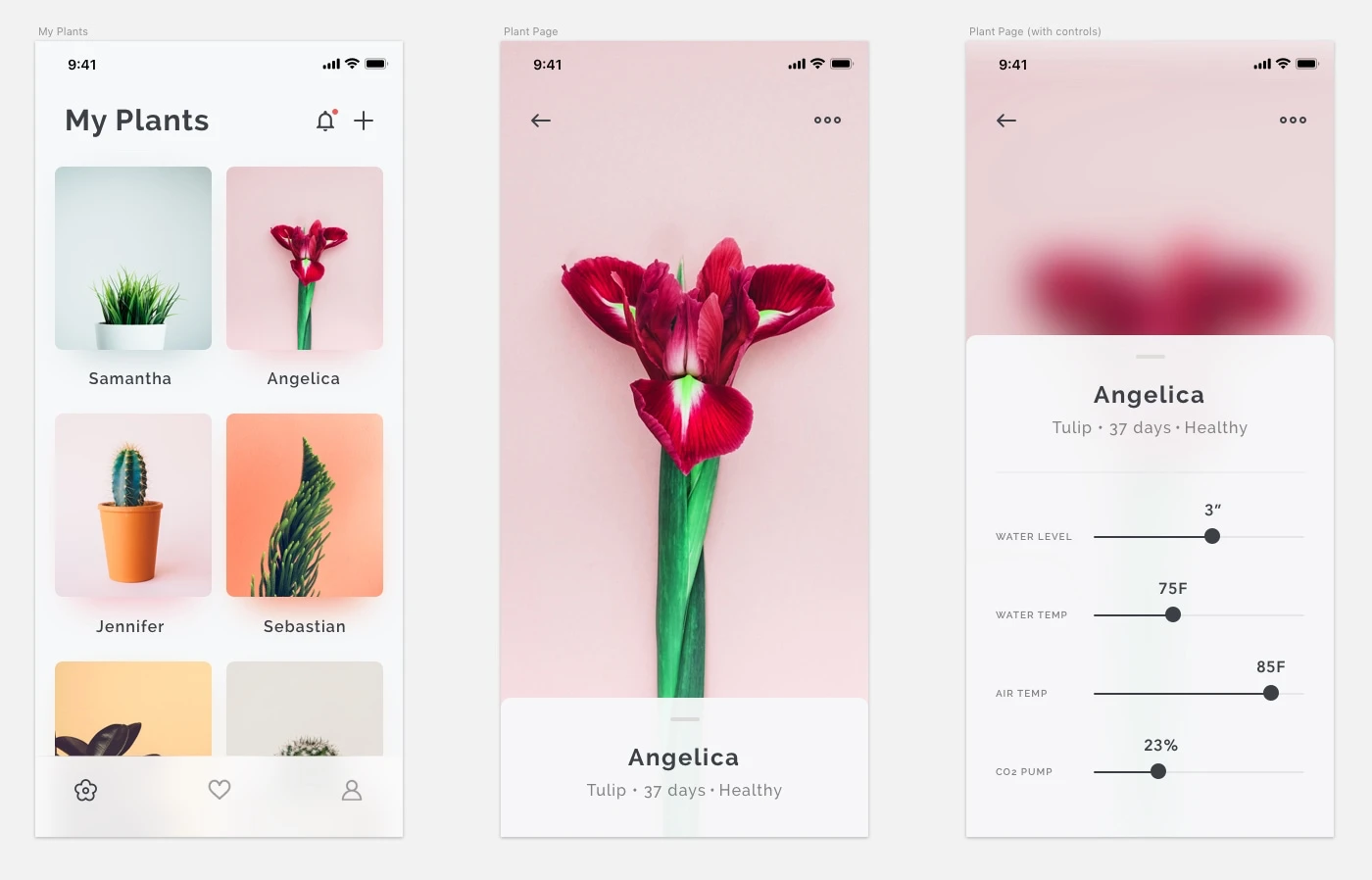 Plants App Concept - 1
