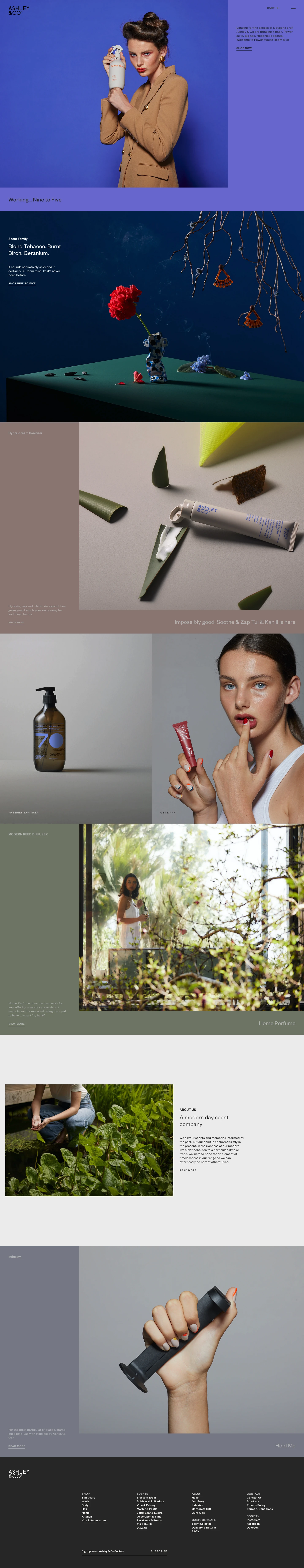 Ashley & Co Landing Page Example: We’re a Modern Day scent company. For us, any occasion is a special occasion, worthy of beautiful scent.