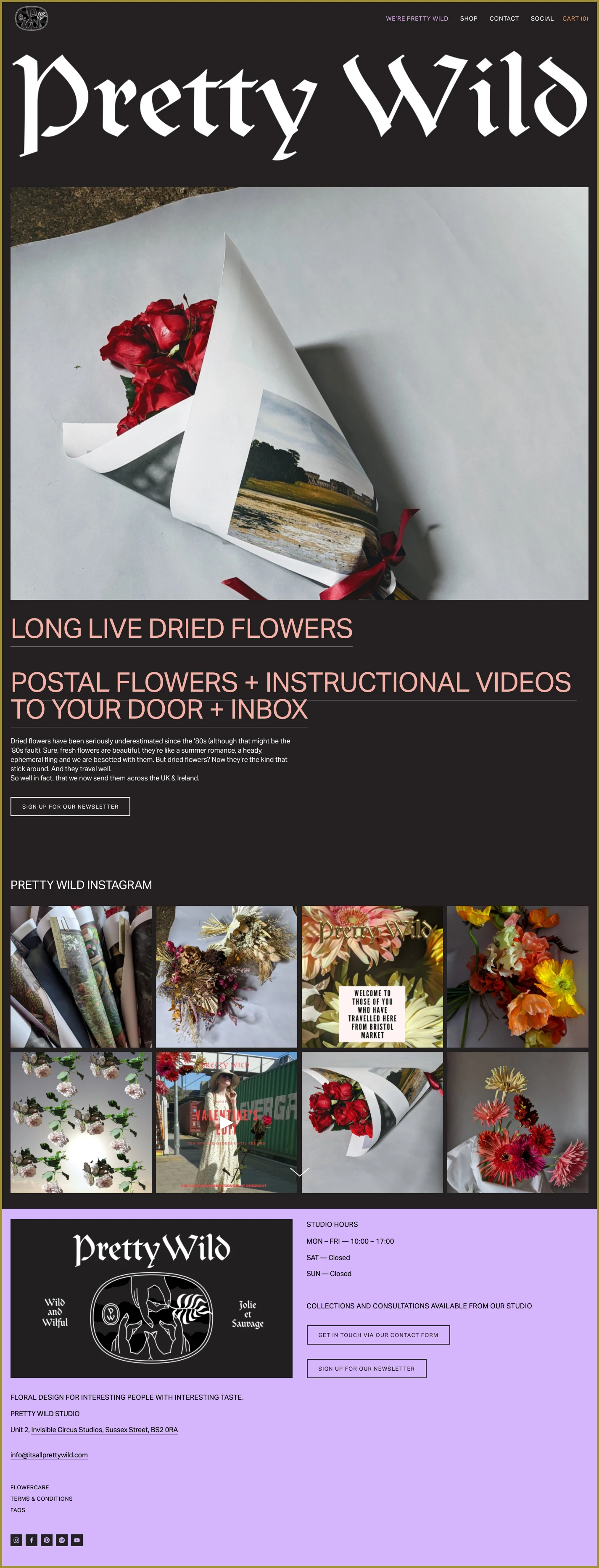 Pretty Wild Landing Page Example: Long live dried flowers. Dried flowers have been seriously underestimated since the ’80s (although that might be the ’80s fault). Sure, fresh flowers are beautiful, they’re like a summer romance, a heady, ephemeral fling and we are besotted with them. But dried flowers? Now they’re the kind that stick around. And they travel well.