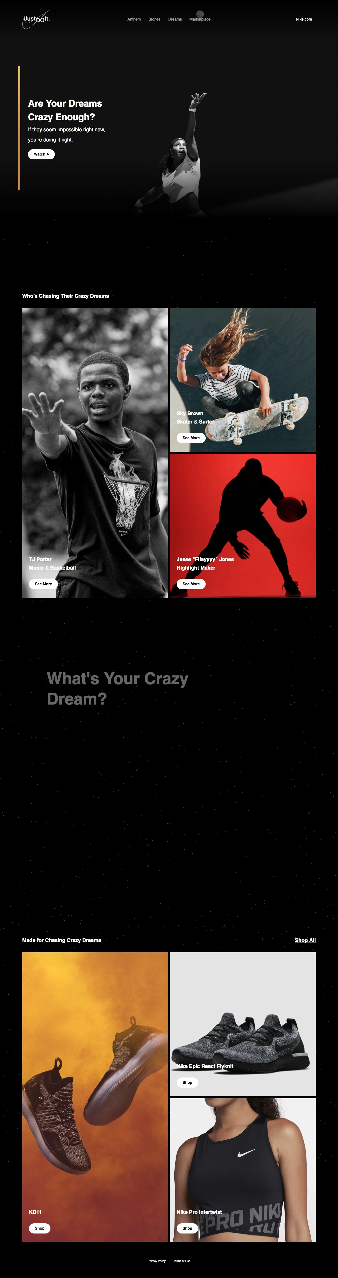 Nike - Just Do It Landing Page Example: Are Your Dreams Crazy Enough? If they seem impossible right now, you’re doing it right.
