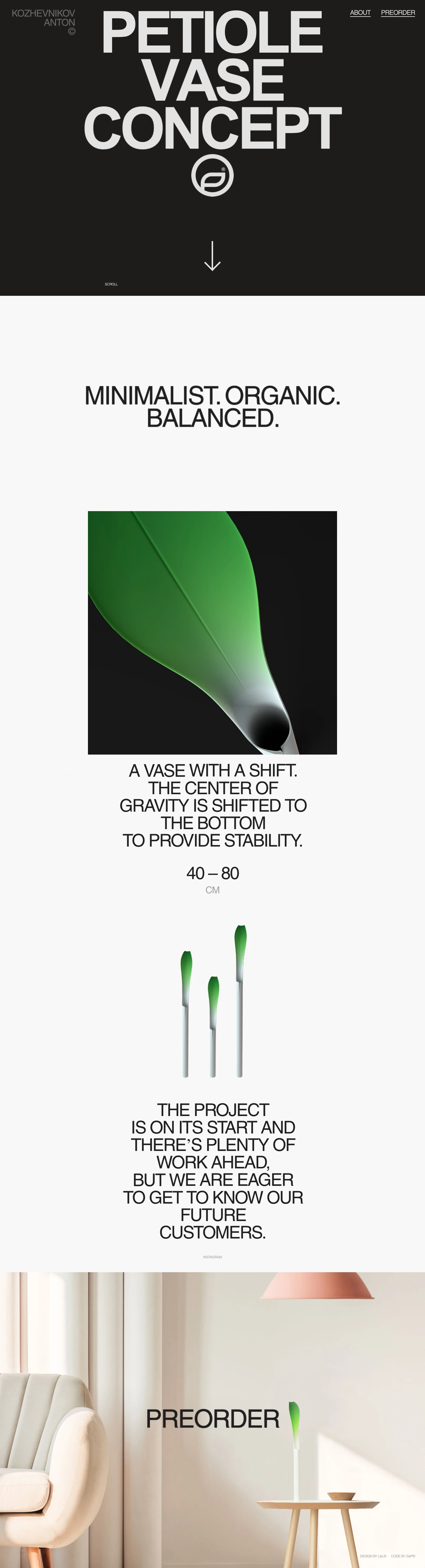Petiole Landing Page Example: An award winning vase concept. Minimalist, organic, balance.
