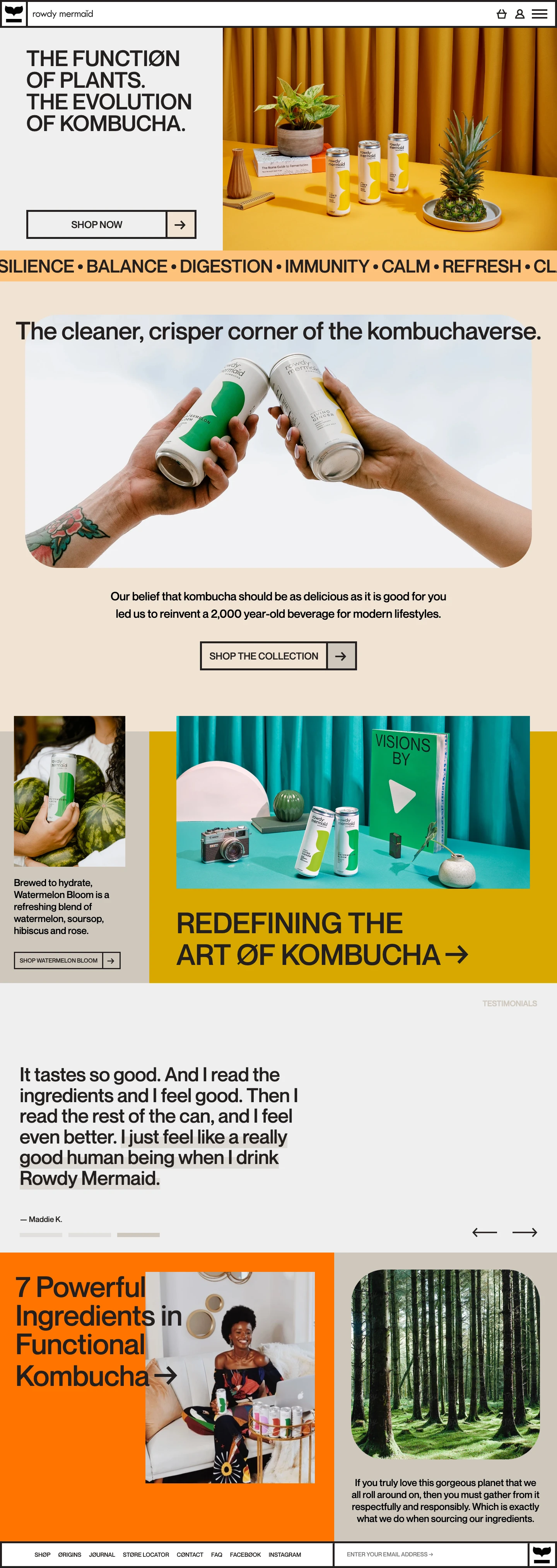 Rowdy Mermaid Kombucha Landing Page Example: We created a safer, more delicious, more healthful kombucha. But we’re more of a functional plant medicine company than a kombucha company. One that’s on a mission to bring as many functional plants to as many functional people as we possibly can.