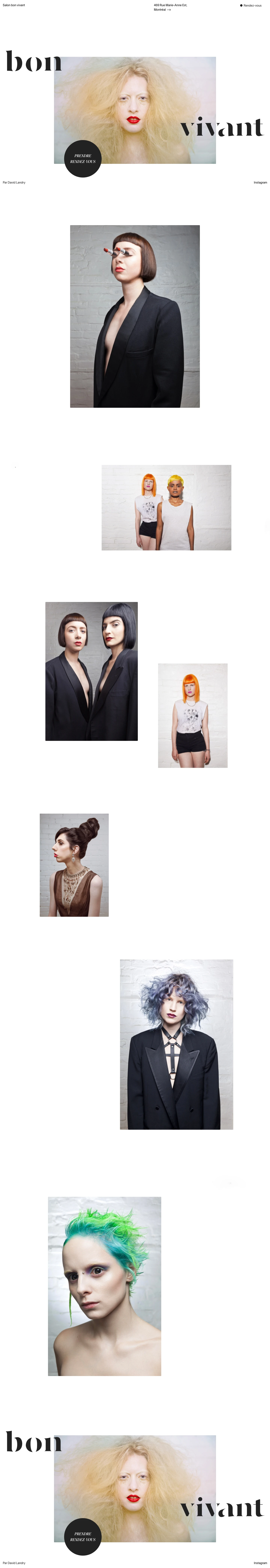 Salon Bon Vivant Landing Page Example: Based in Montréal, David Landry is a visionary stylist & colourist with 20 years of industry experience.  Voted #1 hairstylist in Montréal 2007, 2008 & 2010, this NYC trained stylist finds inspiration by art, music and cities.