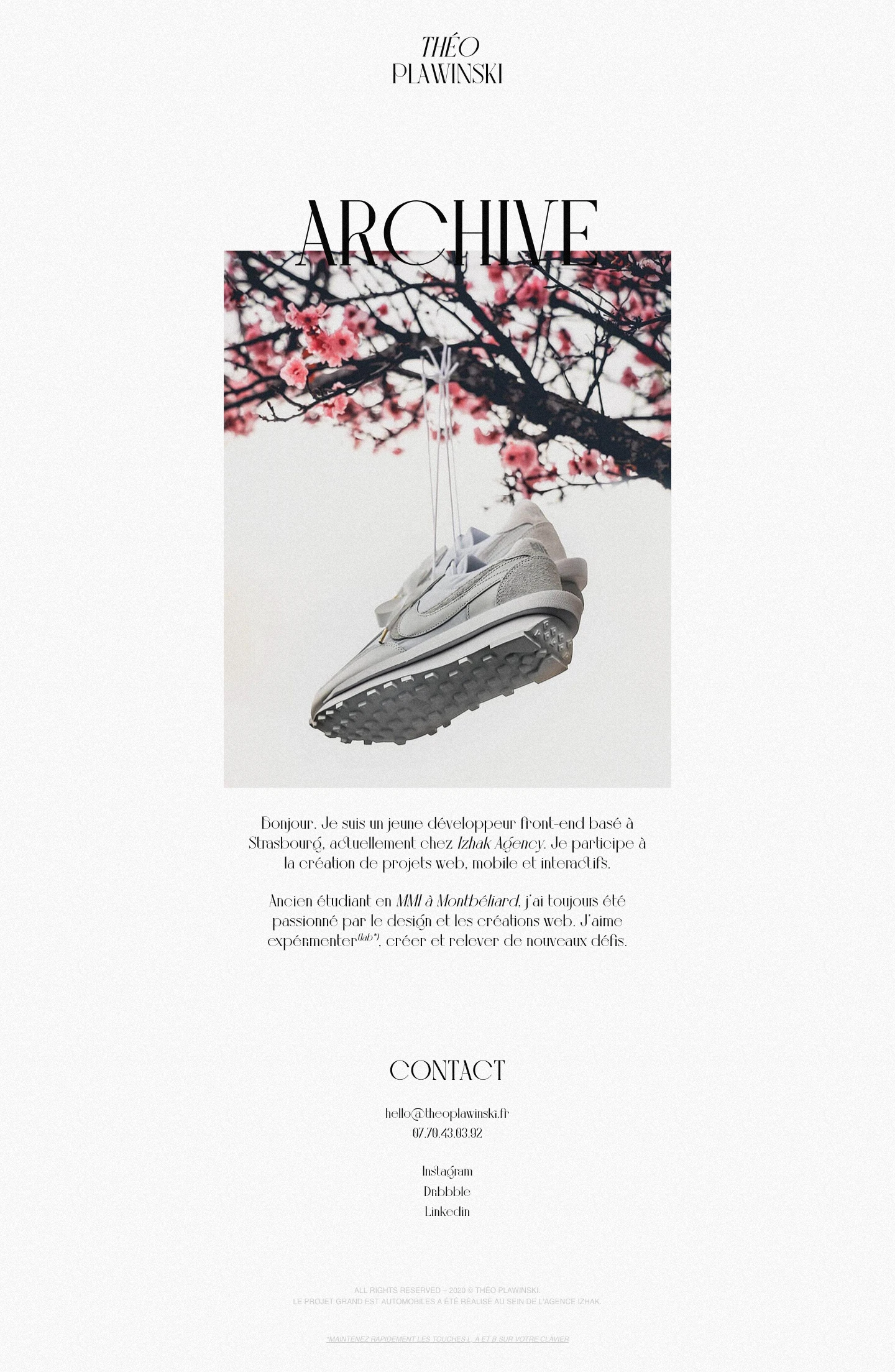 Théo Plawinski Landing Page Example: Creative Developer