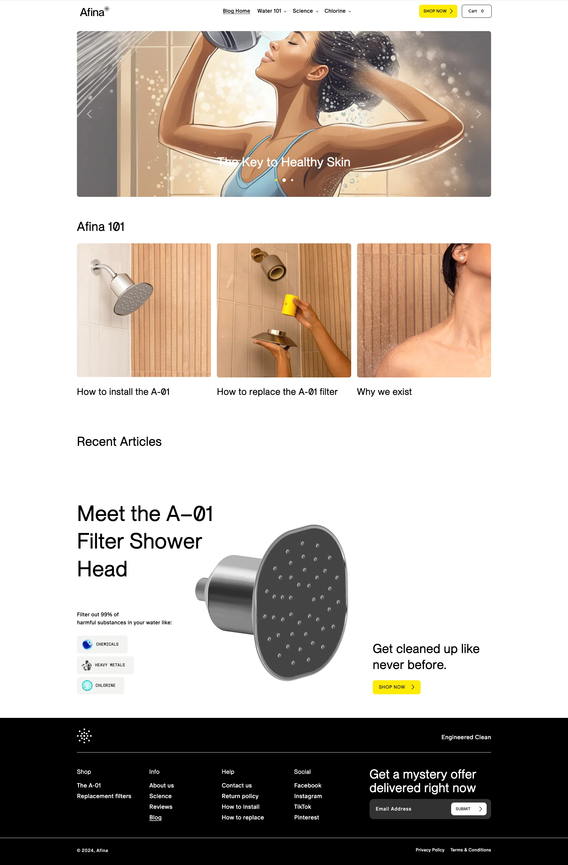 Afina Landing Page Example: Explore top-rated shower head filters at Afina.com. Reduce chlorine and impurities for healthier skin and hair. Find your perfect filtered shower solution today.