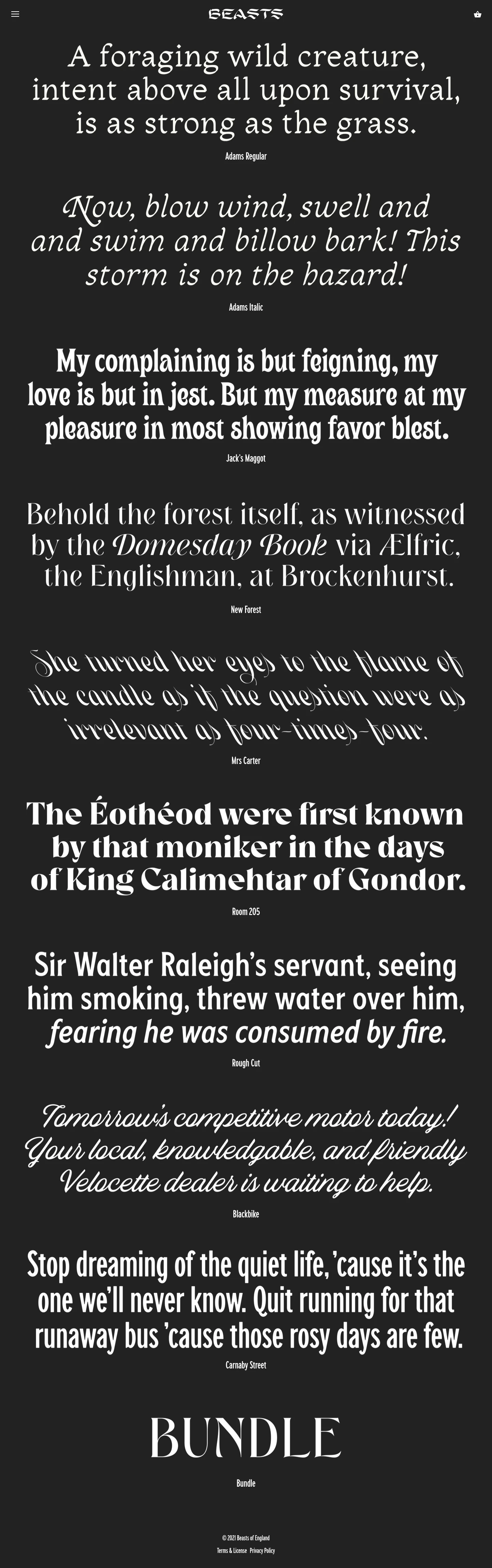 Beasts of England Landing Page Example: Stories need fonts.