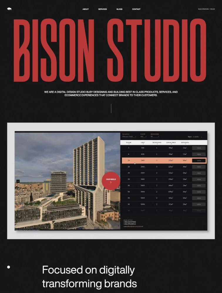 Bison Studio Landing Page Design