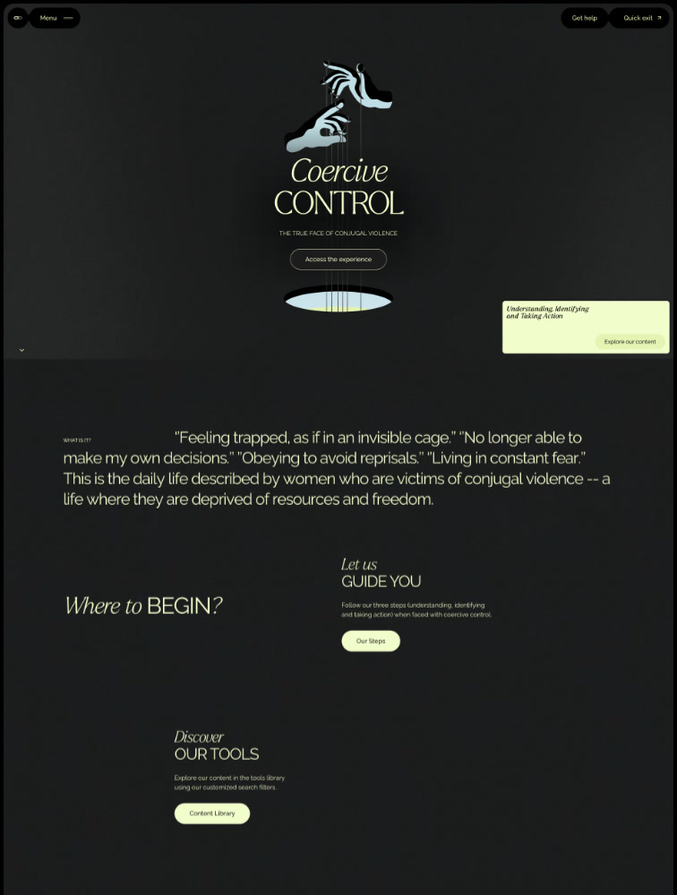 Coercive Control Landing Page Example