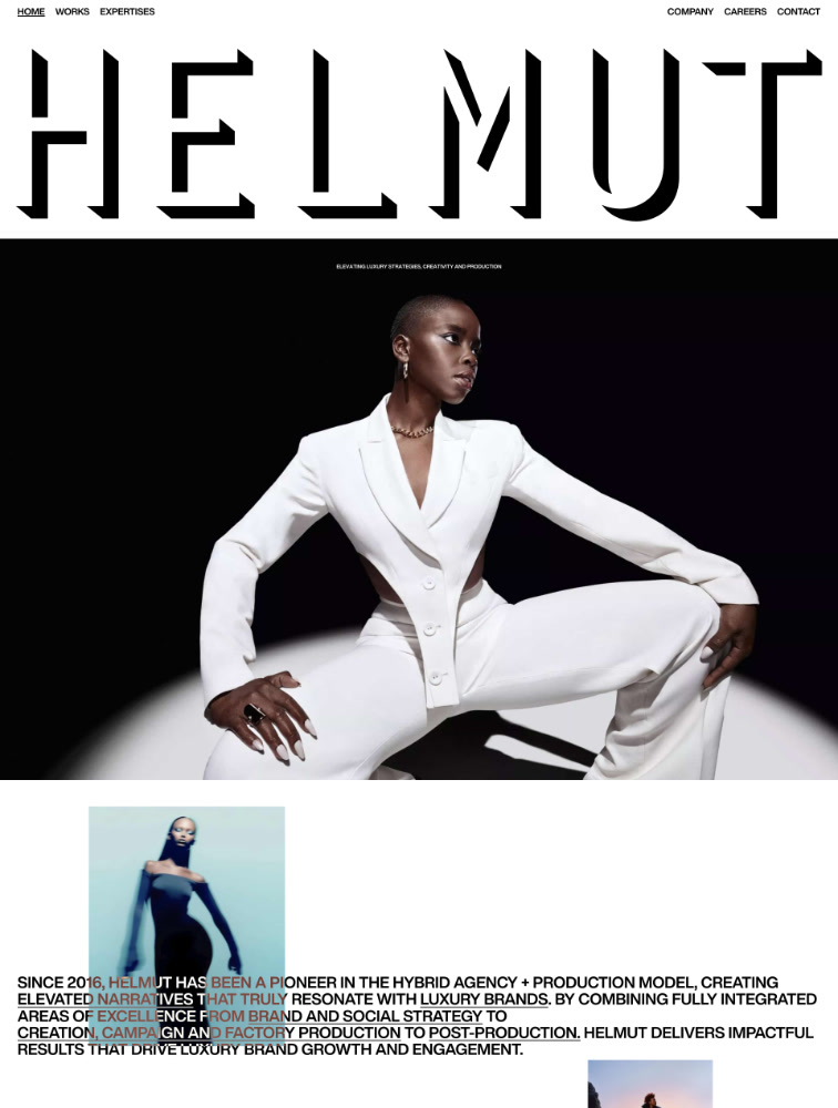 Helmut Agency Landing Page Example
