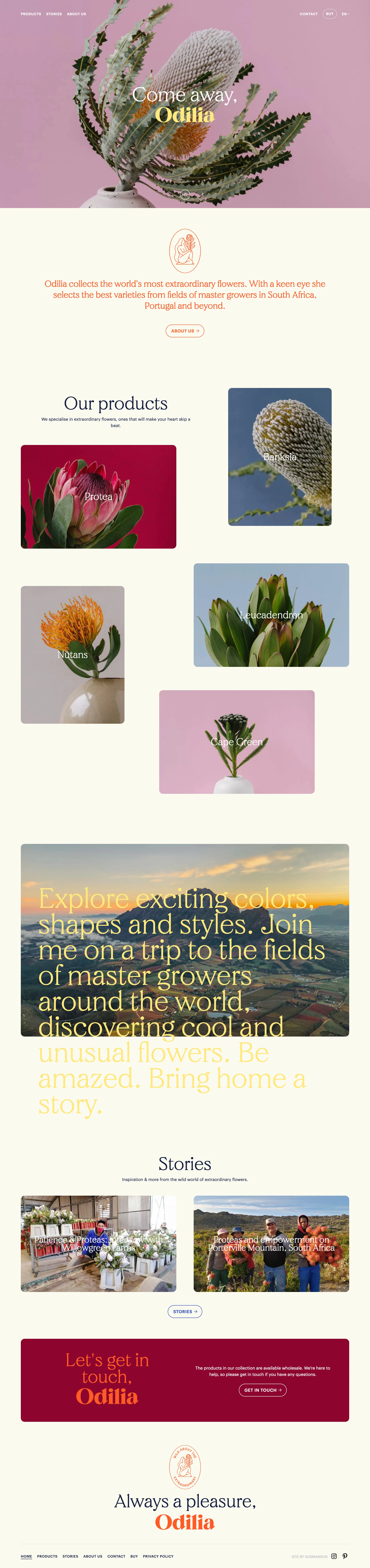Odilia Flowers Landing Page Example: Odilia collects the world’s most extraordinary flowers. With a keen eye she selects the best varieties from fields of master growers in South Africa, Portugal and beyond.