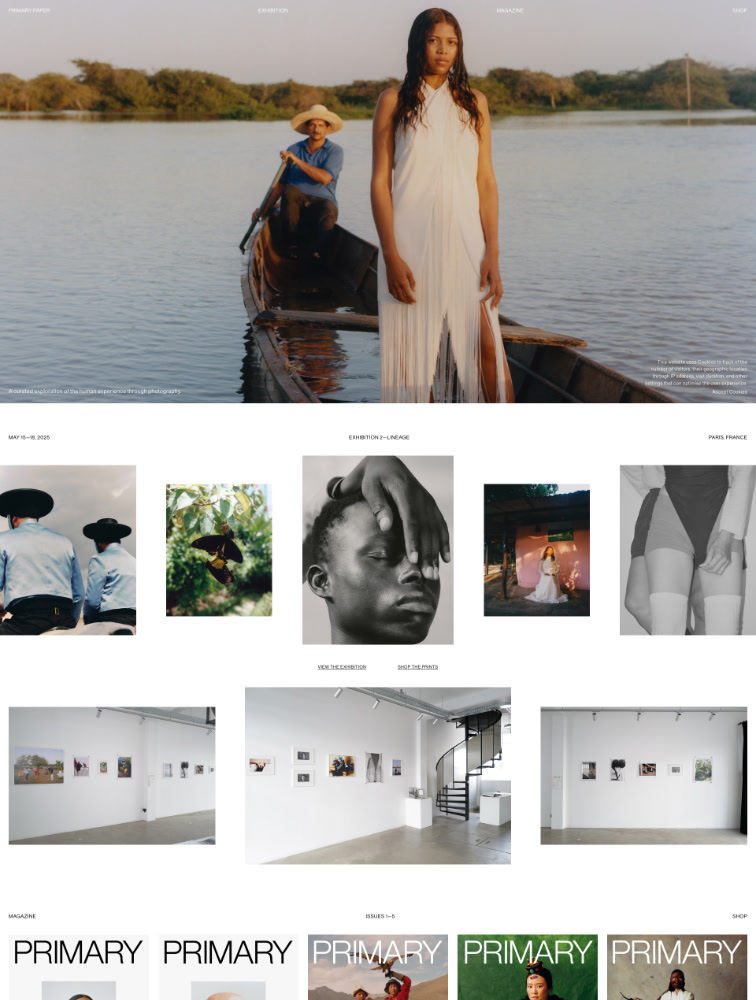 PRIMARY PAPER Landing Page Example