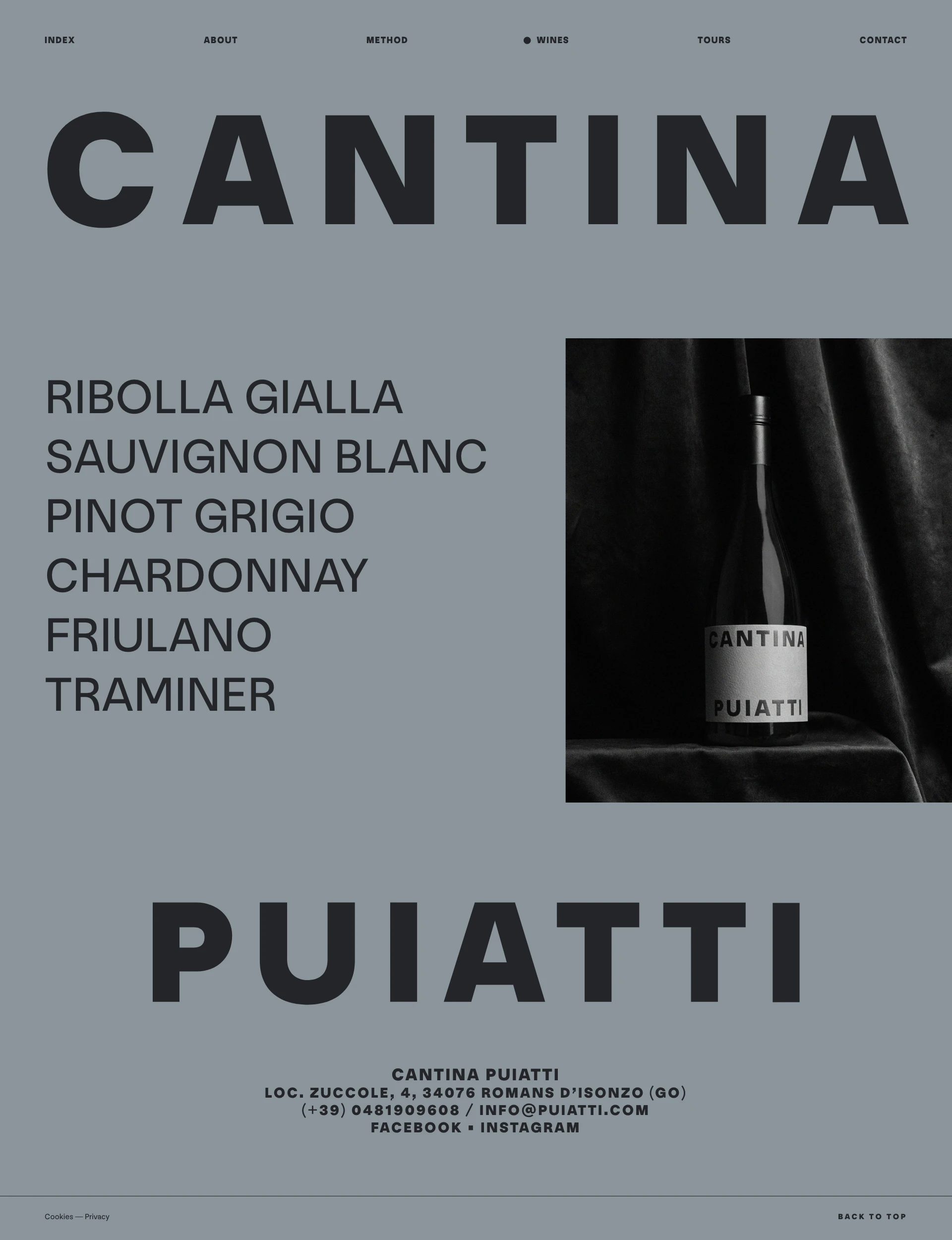Cantina Puiatti Landing Page Example: Cantina Puiatti is the place where skill, brilliance and method meet. Since 1967, shaping the future of wine without forgetting the past.