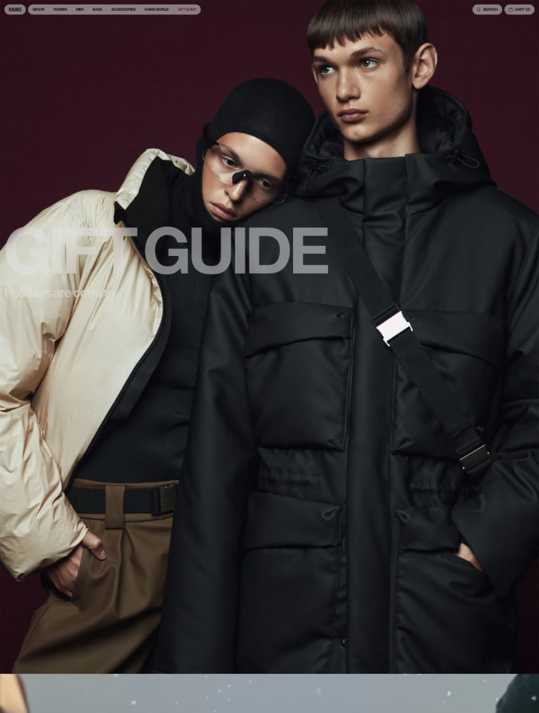 Rains Landing Page Design