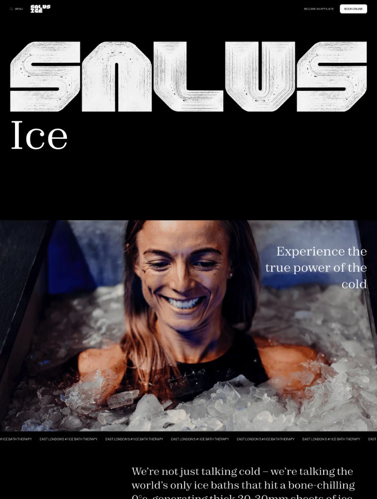 Salus Ice Landing Page Example