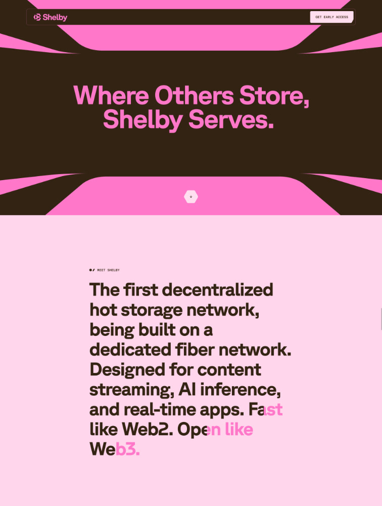 Shelby Landing Page Example