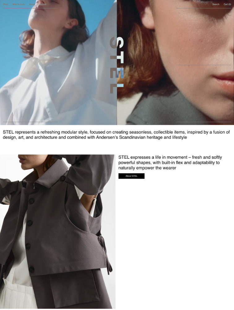 STEL Landing Page Example