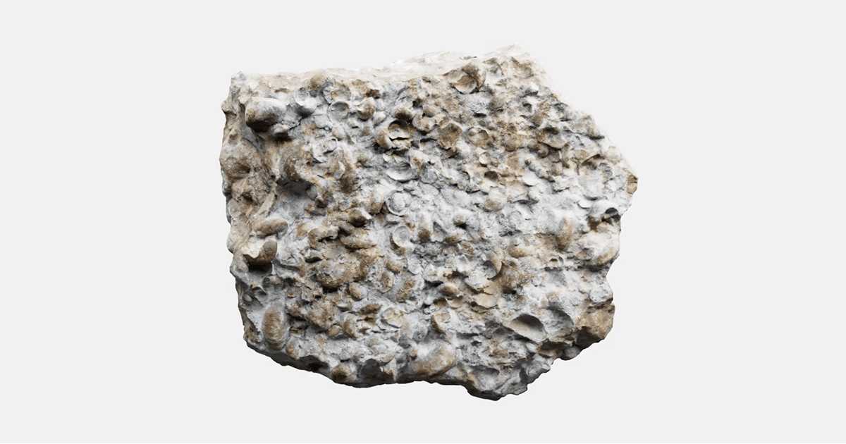 Studio example: Creech