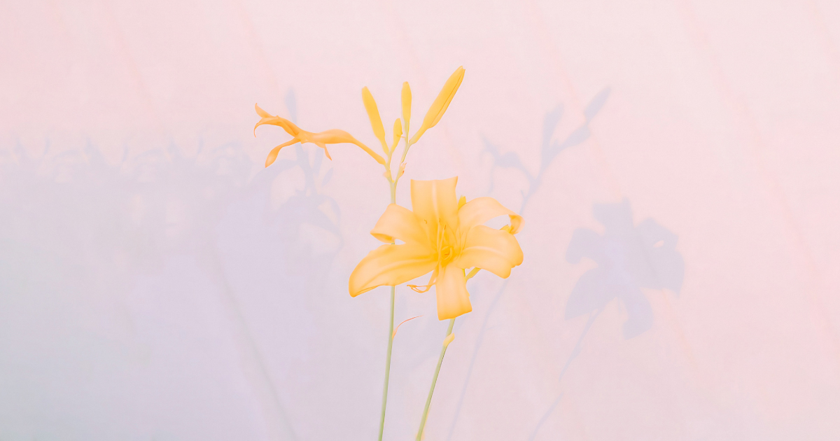 Photography example: Jonathan Grado