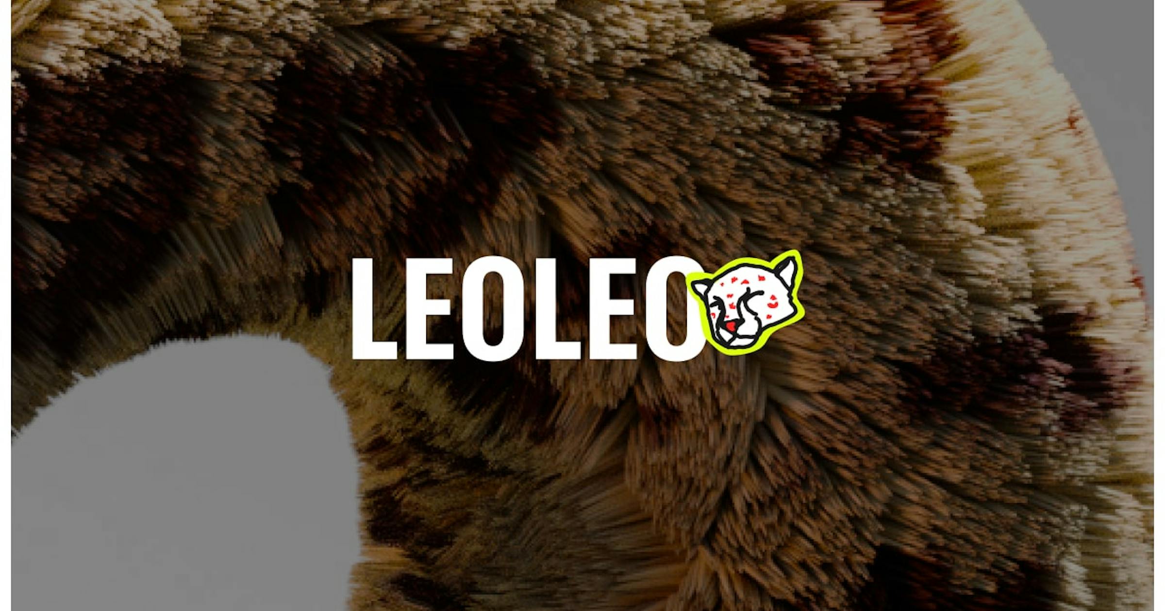 Bento grid example: LEOLEO Studio