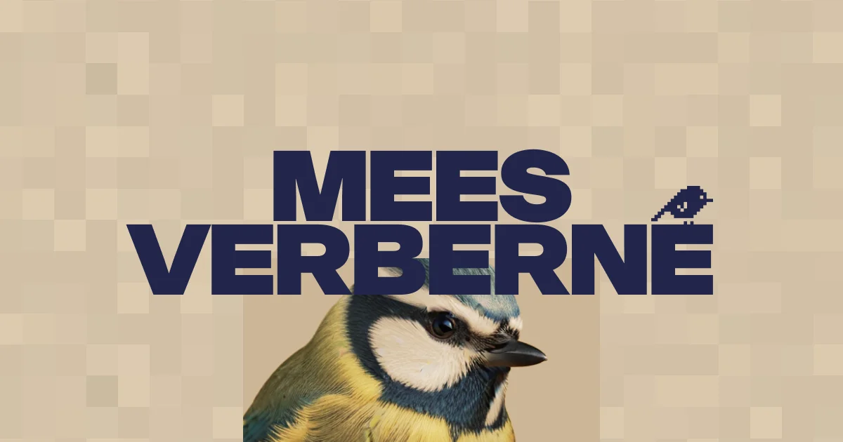 Pattern example: Mees Verberne