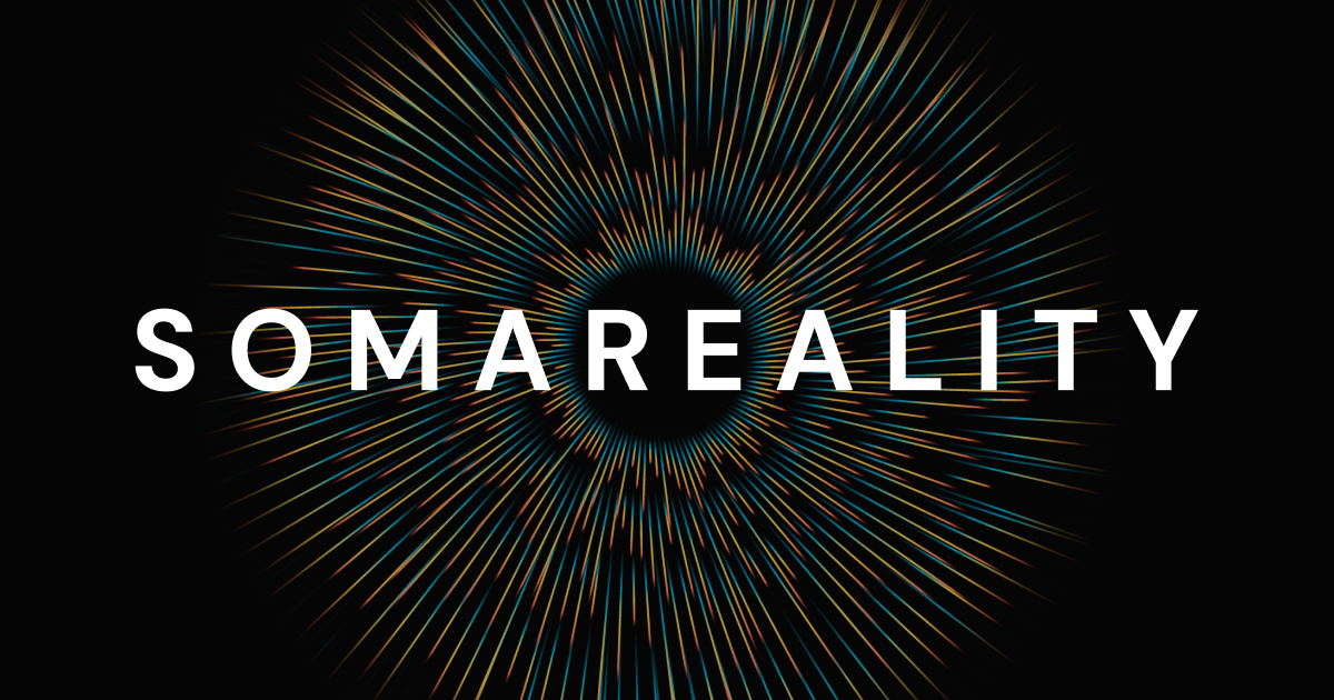 Miscellaneous example: SOMAREALITY