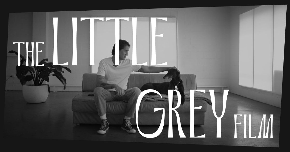 Film example: The Little Grey Film